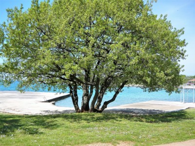 spiaggia