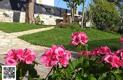 vacanze - holidays 2026